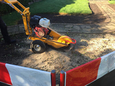 Mechanically grinding out the root plate of felled trees to below ground level or complete stump removal