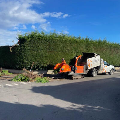 Conifer Hedge Reduction in Nottingham