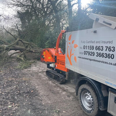 Storm Damaged Tree Removal
