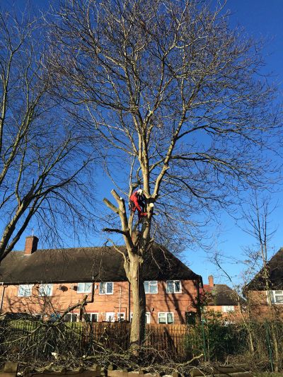 For tree surgery and stump grinding by experts, get in touch with Summers Tree & Garden Services. We are based in Nottingham and serve across Derby and Leicestershire. 