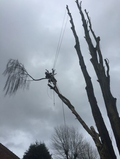 For tree surgery and stump grinding by experts, get in touch with Summers Tree & Garden Services. We are based in Nottingham and serve across Derby and Leicestershire. 