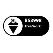 bs3998