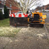Our stump-grinder in action yet again
