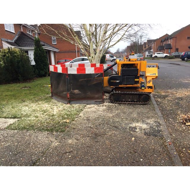 Nottingham Silver Birch Stump Removal Summers Tree And Garden
