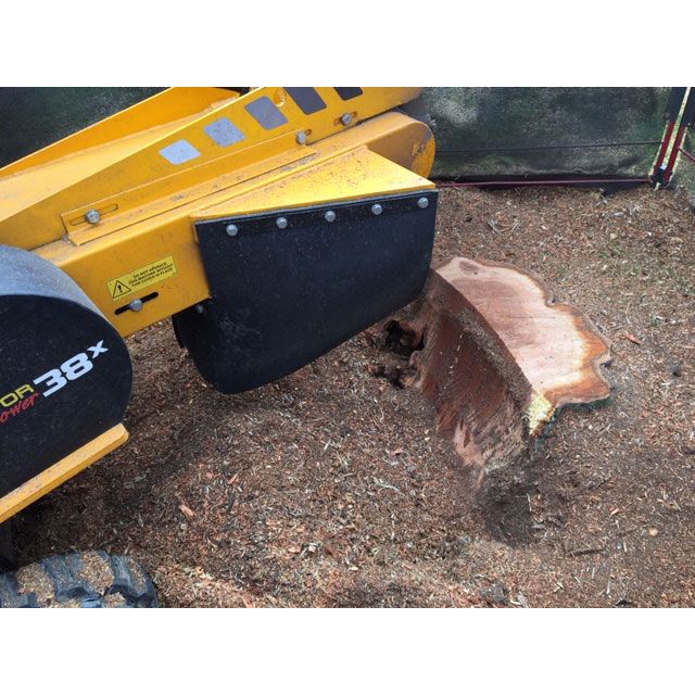 Nottingham Cherry Tree Stump Grinding Summers Tree And Garden