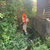 Being a tree surgeon can involve varied work - such as clearing this water course in Nottingham
