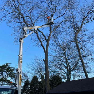 Removing a Broken Branch