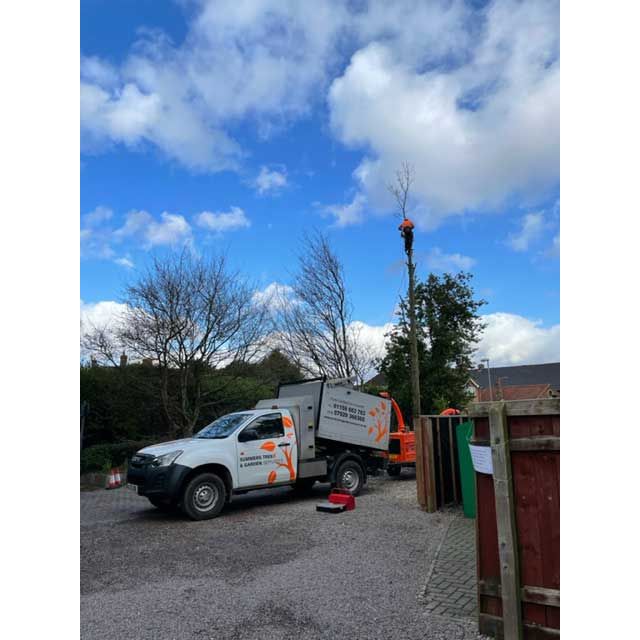 Nottingham Felling Trees due to Subsidence Summers Tree And Garden