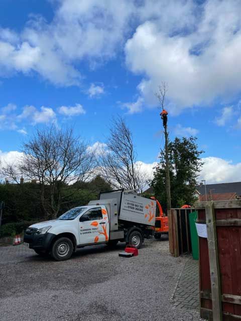 Felling Trees due to Subsidence