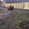 Removal of a large hedge in Nottinghamshire for new development