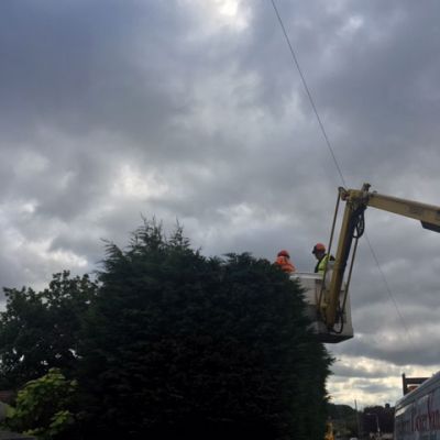 Hedge Cutting from a Cherry Picker