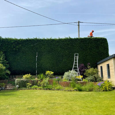 Hedge Cutting in Nottingham