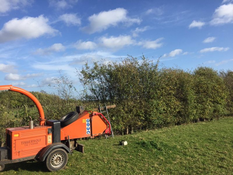 Nottingham Hedge cutting and hedge trimming in Nottingham Summers