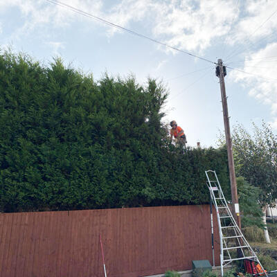 Hedge Reduction in Nottingham