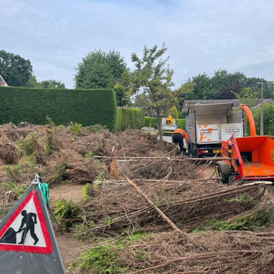 Hedge Removal in Nottingham