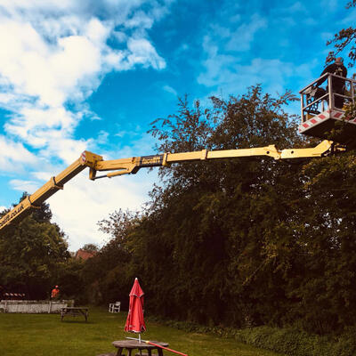 Hedge Trimming on a Grand Scale