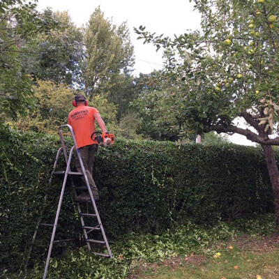 A Spot of Hedge Trimming