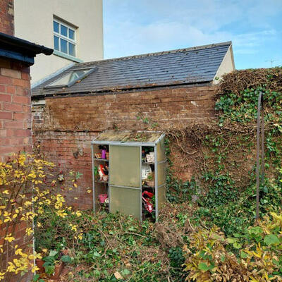 Ivy Removal Nottingham