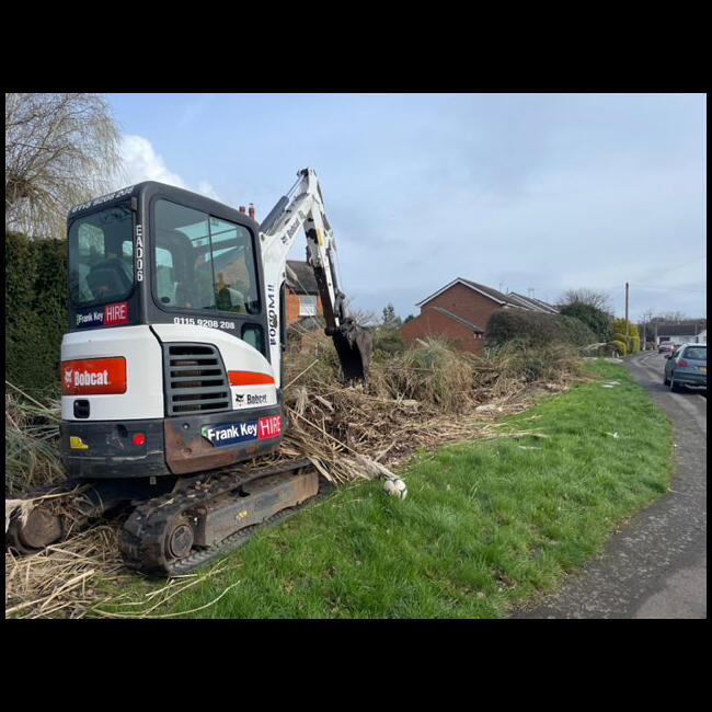 Nottingham Removing Pampas Grass in Nottinghamshire Summers Tree And
