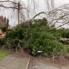We've been kept very busy with storm Ciara - possibly the strongest winds we've known in Nottingham