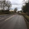 We've been kept very busy with storm Ciara - possibly the strongest winds we've known in Nottingham