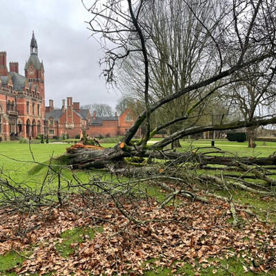 Storm Damaged Trees at a Stately Home in Nottinghamshire