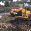 Stump grinding ensures that follow-up planting can take place almost immediately