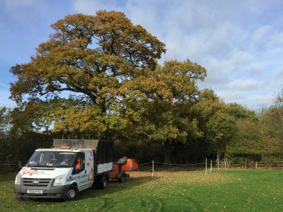 Every staff member at Summers Tree and Garden Services are fully trained and insured, hold qualifications in horticulture and arboriculture