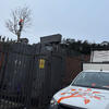Vital work at a Nottingham electricity substation to keep it clear of vegetation and overhanging branches