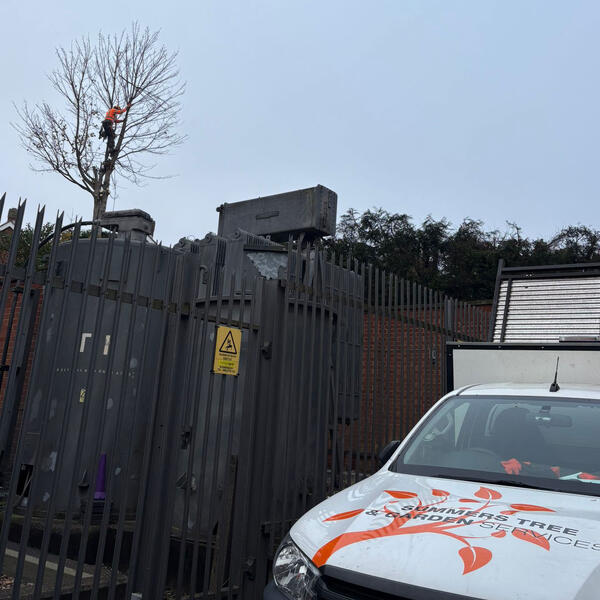 Keeping An Electricity Substation Clear of Overgrowth