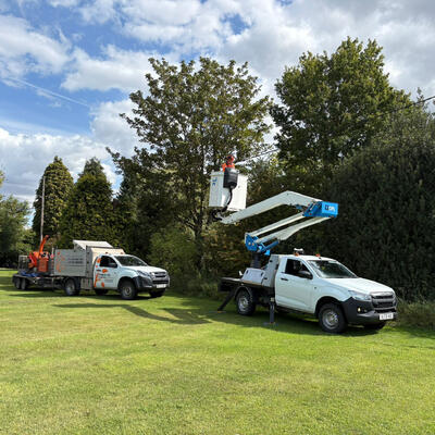 Tree Surgery to Keep Power Lines Safe