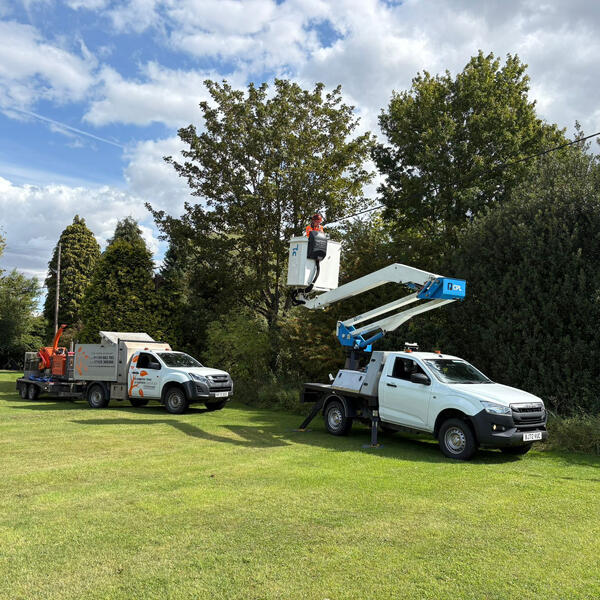 Tree Surgery to Keep Power Lines Safe