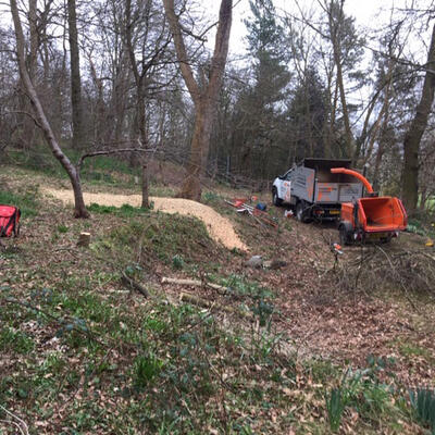 Woodland Work